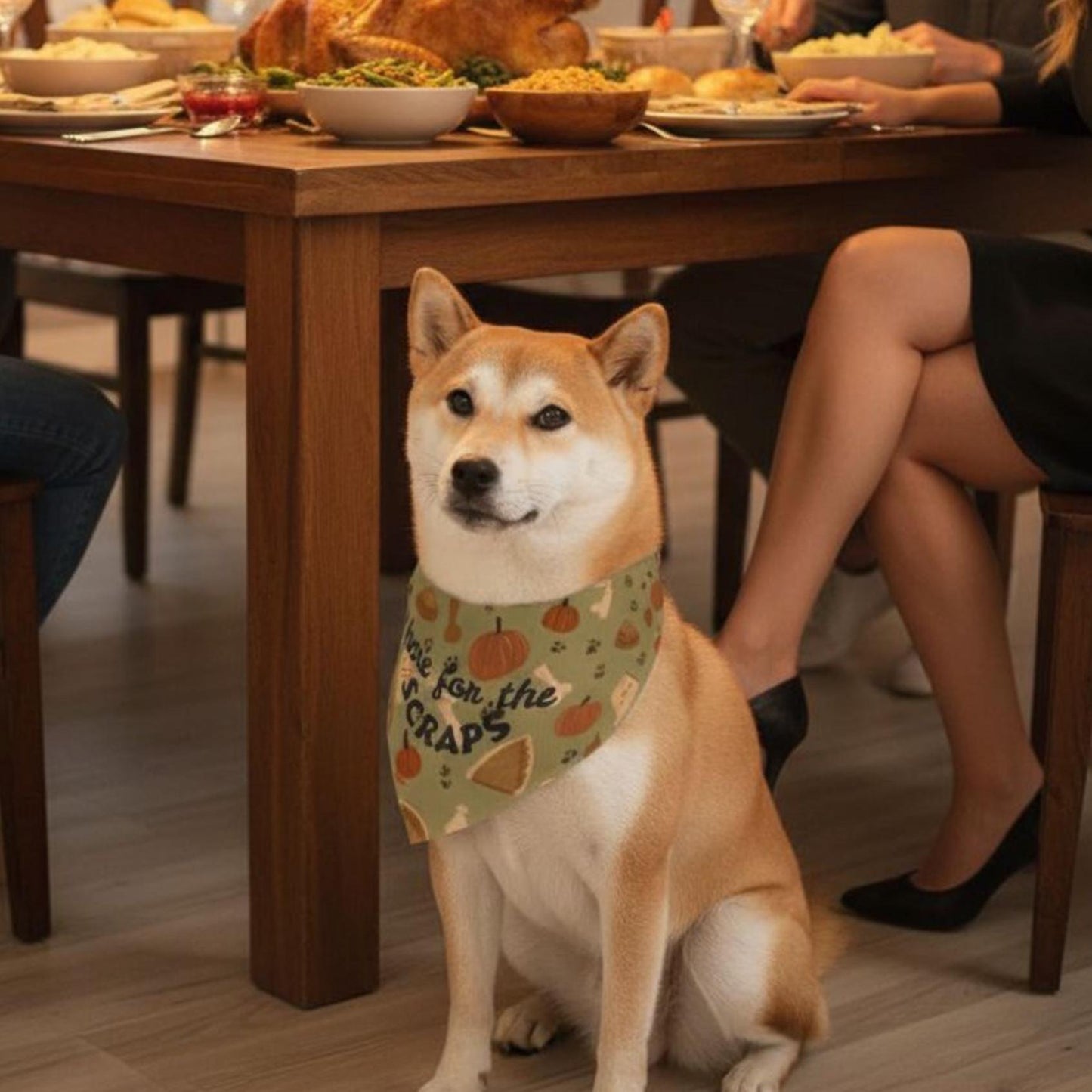 Thanksgiving Dog Bandana Dog Collar Fall Pet Parent Gift Holiday Dog Collar Autumn Pet Accessory Turkey Day Small Dog Collar Pet Bandana