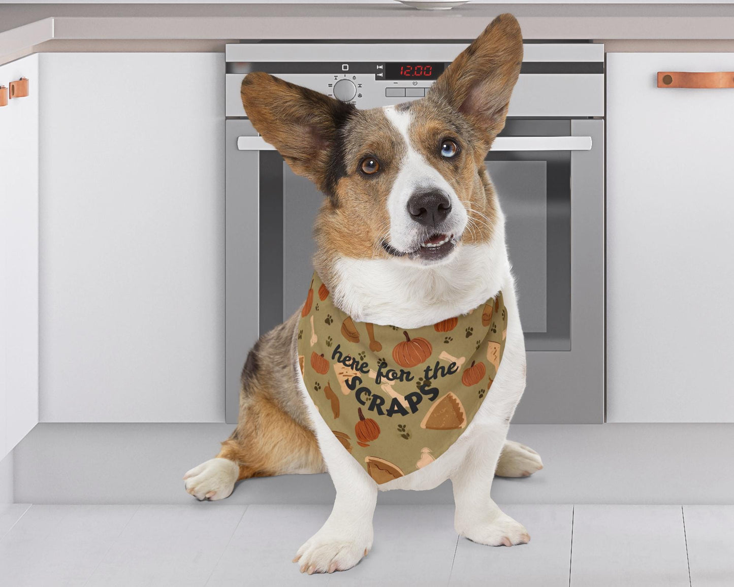 Thanksgiving Dog Bandana Dog Collar Fall Pet Parent Gift Holiday Dog Collar Autumn Pet Accessory Turkey Day Small Dog Collar Pet Bandana