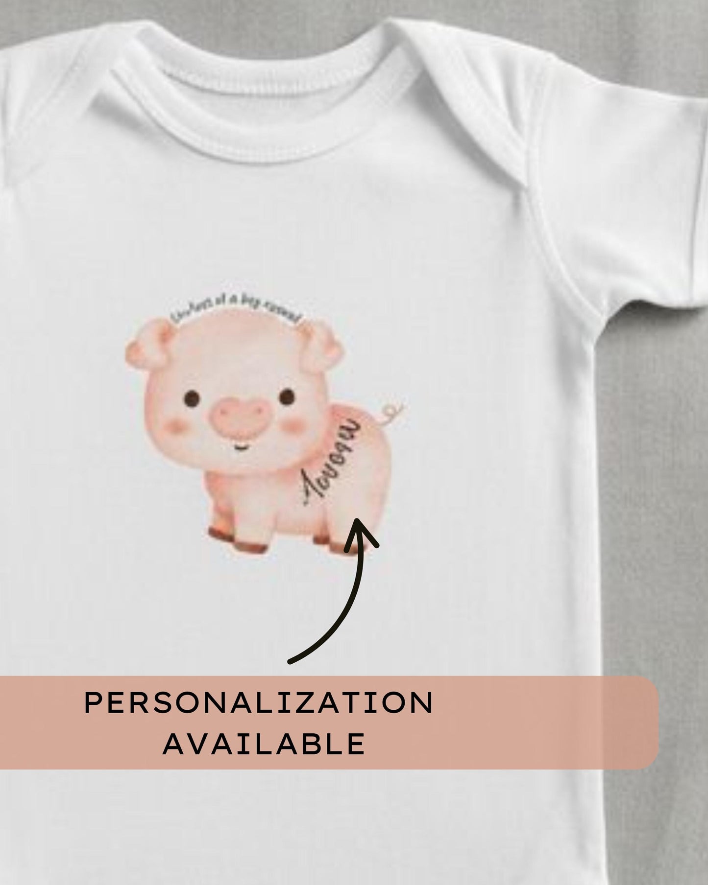 Whimsical Pig Baby Onesie Cute Infant Bodysuit Kind of a Big Squeal Soft Baby Clothes Baby Shower Gift Newborn Romper Animal Baby Outfit